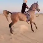 فرس شعبيه كفوو