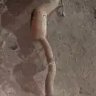دبات تلوث سليمة رنج روفر
