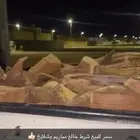 سمر شلايخ شرط