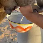 خلفه وضحاء مصغر