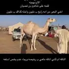للبيع ناقه أصيل اقرأ الصوره
