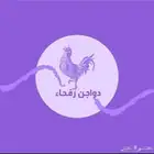 متوفر دجاج