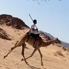 افلح من ذكر الله قعود