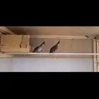 حمام خلخليت