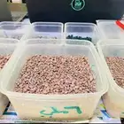 بطحاء حائل
