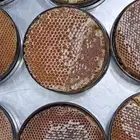 عسل سدر دوعني فاخر وعسل السمره