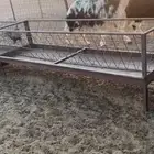 رخال مهجنات