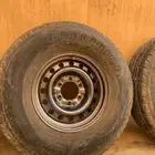 كفرات شواهين الرياض