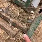 عشش طيور للبيع