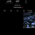 حساب تيك توك
