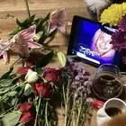 تبني قطه انثى