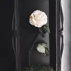 تقبيل محل ورد