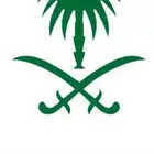سياره صني