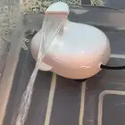 مستلزمات حوض سمك   سلاحف