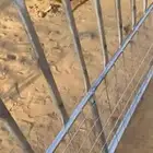 شبك بهم