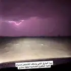 مطلوب غنم ضان دافيع ب فحلها تكون من الثنيه للجذعه