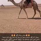 رحول ابل كفو