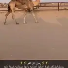 رحول كفو