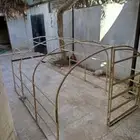 شد هنقلل شاص جديد لم يستخدم