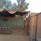 حوش مواشي للاجار الهياثم الخرج