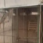 على السوم