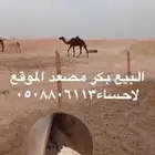 صعود البيع