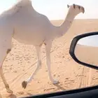 بكره ضغط عالي عليانيه