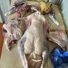 ذبايح واضاحي