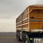 تيدر نقل