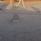 للبيع الخفوت الوضحه الي على جميع الشروط