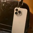 شنطة لويس فيتون (عنابي)