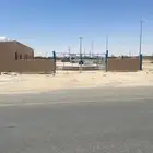 لتقبيل