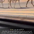 لقحه مقرب كفو