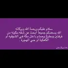 ابحث عن الشقه غرفتين ومطبخ