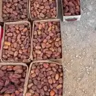تمر صفري للبيع