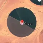 مشروع للاجار بسيطا
