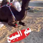 تم البيع الله يربحه ويخلف علينا