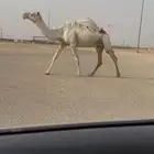 للبيع خفوت كفووو