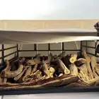 حطب مستورد سمر