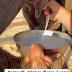 بكر مجهم جذعه ناقه مناح ومراح تنصفط