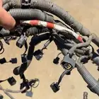 ضفيرة سكويا ولاندكروزر
