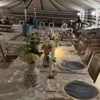 خيمة بيت شعر