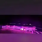 فود ترك