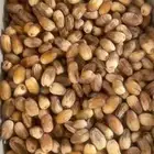 تمر خلع المسيرق اربعه كراتين موز