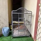 قفص ببغاوات