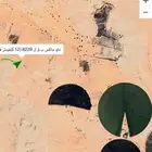 مطلوب بذر هيبان وشعير سداسي 300 كيس