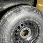 بوالين مع جنوط هلل