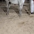 مهره