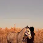 فرس