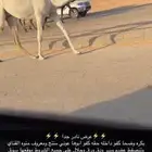 بكره كفو حقه